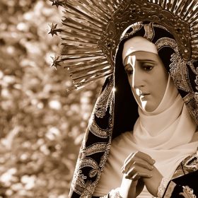 Virgin Mary and The real Rose of Jericho