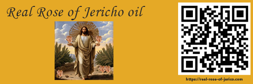 The differences between the real Rose of Jericho oil and the oil of the false Rose of Jericho
